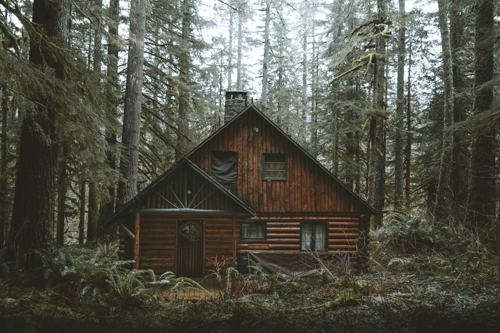 Uzungöl'de ahşap dağ evi — fotoğraf 2